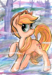 Size: 1721x2489 | Tagged: safe, artist:autobotchari, applejack, g4, female, forest, mist, raised hoof, solo, traditional art, watercolor painting