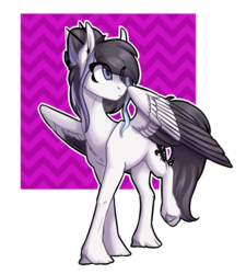 Size: 1303x1447 | Tagged: safe, artist:alicjaspring, oc, oc only, oc:purple, solo, unshorn fetlocks