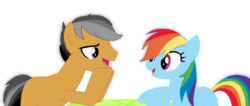 Size: 774x327 | Tagged: safe, quibble pants, rainbow dash, g4, female, male, ship:quibbledash, shipping, straight