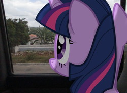 Size: 3264x2392 | Tagged: safe, artist:riniginianna, twilight sparkle, g4, building, bus, high res, irl, photo, ponies in real life, shadow, solo, tree, vector, window