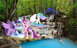 Size: 2880x1800 | Tagged: safe, artist:whynotscenery, princess cadance, princess celestia, princess luna, twilight sparkle, alicorn, pony, g4, alicorn tetrarchy, eyes closed, floating, forest, irl, looking at you, photo, ponies in real life, royal sisters, sisters-in-law, sitting, twilight sparkle (alicorn), vector, water, waterfall
