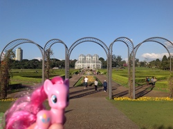 Size: 2592x1936 | Tagged: safe, pinkie pie, g4, brazil, brushable, curitiba, garden, irl, photo, ponies around the world, toy