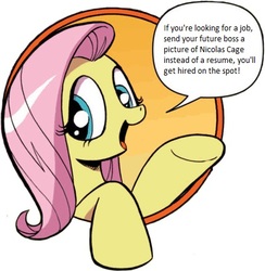 Size: 421x431 | Tagged: safe, idw, fluttershy, pegasus, pony, friendship is magic #3, g4, my little pony: friendship is magic (idw), bad advice fluttershy, exploitable meme, female, meme, nicolas cage, solo