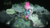 Size: 1280x720 | Tagged: safe, artist:pirill, queen chrysalis, twilight sparkle, alicorn, changeling, changeling larva, changeling queen, nymph, pony, g4, annoyed, changeling hive, cocoon, cute, cuteling, dialogue, disguise, egg, female, glasses, nerd, oblivious, paper-thin disguise, research, twiabetes, twilight sparkle (alicorn), younger