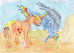 Size: 4916x3532 | Tagged: safe, artist:dawn22eagle, applejack, rainbow dash, earth pony, pegasus, pony, g4, alternate timeline, alternate universe, amputee, apocalypse, apocalypse dash, armor, augmented, butt, coat markings, colored hooves, colored wings, crying, crystal war timeline, duo, female, floating, flying, lesbian, mare, multicolored wings, plot, prosthetic limb, prosthetic wing, prosthetics, rainbow feathers, rainbow wings, ship:appledash, shipping, signature, socks (coat markings), tail feathers, unshorn fetlocks, wings