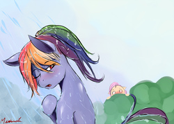 Size: 1400x1000 | Tagged: safe, artist:miokomata, fluttershy, rainbow dash, pony, g4, bathing, blushing, female, lesbian, mare, one eye closed, peeping, sexy, ship:flutterdash, shipping, signature, stupid sexy rainbow dash, wet, wet mane