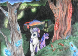 Size: 1600x1155 | Tagged: safe, artist:warriors-horse, rarity, twilight sparkle, g4, forest, traditional art