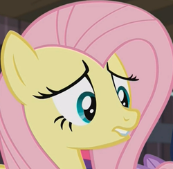 Size: 1308x1276 | Tagged: safe, screencap, fluttershy, pony, g4, the hooffields and mccolts, cropped, face, female, mare, solo, zoom