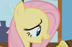Size: 1052x692 | Tagged: safe, screencap, fluttershy, pony, g4, the hooffields and mccolts, book, cropped, cute, female, mare, solo