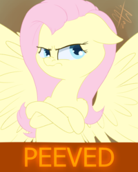 Size: 600x750 | Tagged: safe, artist:malwinters, fluttershy, pegasus, pony, g4, atg 2016, crossed hooves, female, floppy ears, frown, image macro, meme, newbie artist training grounds, peeved, solo