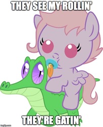 Size: 500x615 | Tagged: safe, artist:red4567, edit, gummy, oc, oc:melody notes, alligator, pony, g4, baby, baby pony, chamillionaire, cute, gummybetes, image macro, imgflip, meme, ponies riding gators, pun, ridin, riding, song reference, they see me rollin'
