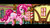 Size: 1920x1080 | Tagged: safe, artist:ciderpunk, artist:zuruck, derpibooru exclusive, pinkie pie, g4, female, solo, sugarcube corner, wallpaper