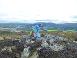 Size: 4320x3240 | Tagged: safe, artist:jamiem99, rainbow dash, pony, g4, irl, photo, ponies around the world, scotland, toy