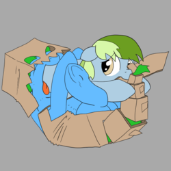 Size: 500x500 | Tagged: safe, artist:dudey64, oc, oc only, oc:box-filly, oc:nessy gouge, dragon, pony, cardboard box, clothes, costume, female, fetish, filly, filly pred, filly prey, sword, vore, weapon