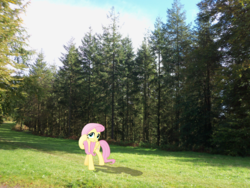 Size: 3648x2736 | Tagged: safe, artist:harvydraws, fluttershy, g4, cute, high res, irl, photo, ponies in real life, shyabetes, smiling, solo