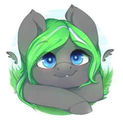 Size: 1269x1279 | Tagged: safe, artist:littlemoshi, oc, oc only, pegasus, pony, blushing, bust, commission, cute, happy, portrait