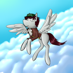 Size: 3000x3000 | Tagged: safe, artist:dmc4everucci, oc, oc only, oc:solly, pegasus, pony, clothes, cloud, flying, hat, high res, jacket, sky, solo, sunlight, wings