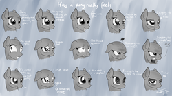Size: 7500x4200 | Tagged: safe, artist:falcotte, pony, absurd resolution, angry, art, bald, base, bedroom eyes, brony, crying, cute, easter egg, expression, expressions, face, feels, filly, funny, happy, insanity, reaction, sad, screaming, sketch, smiling