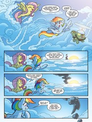 Size: 720x960 | Tagged: safe, artist:tony fleecs, idw, fluttershy, rainbow dash, tank, pegasus, pony, friends forever #31, g4, my little pony: friends forever, spoiler:comic, female, mare, preview