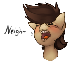 Size: 989x852 | Tagged: safe, artist:marsminer, oc, oc only, oc:keith, earth pony, pony, blushing, bust, eyes closed, horses doing horse things, male, neigh, open mouth, portrait, simple background, solo, stallion, white background