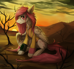 Size: 934x882 | Tagged: safe, artist:hioshiru, oc, oc only, pegasus, pony, fallout equestria, clothes, fallout, jumpsuit, looking at you, pipboy, sitting, slender, solo, sunset, thin, vault suit