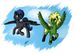 Size: 2764x2044 | Tagged: safe, artist:speed-chaser, oc, oc only, oc:aiker, oc:luke lulamoon, pegasus, pony, gift art, high res, simple background, transparent background