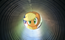 Size: 3904x2384 | Tagged: safe, artist:riniginianna, applejack, g4, high res, irl, looking at you, photo, pipe (plumbing), plastic, ponies in real life, solo, tube, vector
