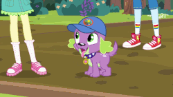 Size: 800x450 | Tagged: safe, screencap, fluttershy, rainbow dash, spike, spike the regular dog, dog, equestria girls, g4, my little pony equestria girls: legend of everfree, animated, clothes, converse, cute, legs, shoes, sneakers, spikabetes, tail wag, tongue out