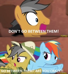 Size: 577x627 | Tagged: safe, daring do, quibble pants, rainbow dash, g4, stranger than fan fiction, indiana jones, indiana jones and the last crusade, movie quote, movie reference