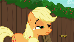 Size: 1920x1080 | Tagged: safe, screencap, applejack, earth pony, pony, g4, the cart before the ponies, frown, raised eyebrow, unconvinced applejack