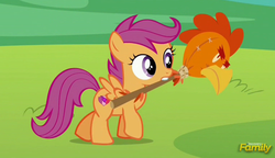 Size: 1522x874 | Tagged: safe, screencap, scootaloo, chicken, pegasus, pony, g4, the cart before the ponies, cute, cutealoo, cutie mark, discovery family logo, female, filly, frown, glare, mouth hold, raised hoof, scootachicken, solo, spread wings, the cmc's cutie marks, walking, wings