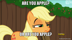 Size: 800x450 | Tagged: safe, edit, edited screencap, screencap, applejack, g4, the cart before the ponies, caption, image macro, makeameme.org, meme, that pony sure does love apples, unconvinced applejack
