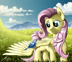 Size: 2023x1741 | Tagged: safe, artist:uliovka, fluttershy, bird, pegasus, pony, g4, cute, female, grass field, looking at each other, looking at something, one wing out, shyabetes, smiling, solo, standing