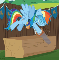 Size: 557x560 | Tagged: safe, screencap, rainbow dash, pony, g4, the cart before the ponies, animated, crosscut saw, female, loop, safety goggles, saw, wood