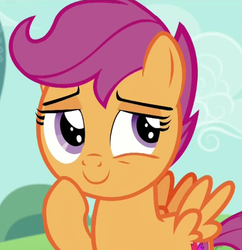 Size: 463x478 | Tagged: safe, screencap, scootaloo, pony, g4, my little pony: friendship is magic, the cart before the ponies, female, solo