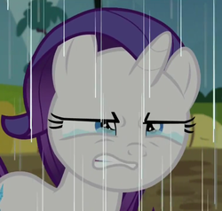 Size: 500x475 | Tagged: safe, screencap, rarity, pony, g4, the cart before the ponies, angry, crying, disgusted, female, filly, mare, solo