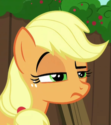 Size: 396x443 | Tagged: safe, screencap, applejack, earth pony, pony, g4, the cart before the ponies, applejack is not amused, cropped, female, hatless, lidded eyes, mare, missing accessory, raised eyebrow, reaction image, solo, unamused, unconvinced applejack, unimpressed