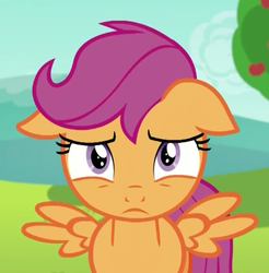 Size: 406x413 | Tagged: safe, screencap, scootaloo, pony, g4, the cart before the ponies, female, floppy ears, solo