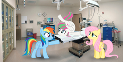 Size: 1941x989 | Tagged: safe, artist:tokkazutara1164, blossomforth, fluttershy, rainbow dash, pegasus, pony, g4, contortionist, doctor, female, flexible, hospital, irl, mare, photo, ponies in real life, trio, trio female, vector