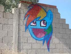Size: 720x540 | Tagged: safe, rainbow dash, g4, awesome face, irl, photo, wall, wall art