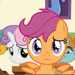 Size: 502x502 | Tagged: safe, screencap, scootaloo, snails, snips, sweetie belle, pony, unicorn, g4, the cart before the ponies, animated, animation error, collar, colt, cute, cutealoo, double mane, female, filly, foal, horn, male, open mouth, open smile, ponyville schoolhouse, smiling, spread wings, varying degrees of want, wings