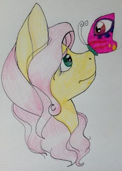 Size: 1652x2321 | Tagged: safe, artist:swagpony135, fluttershy, butterfly, g4, bust, butterfly on nose, female, insect on nose, looking at something, looking up, portrait, profile, simple background, solo, traditional art