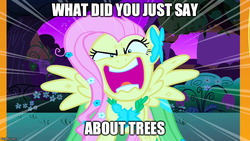 Size: 800x450 | Tagged: safe, edit, edited screencap, screencap, fluttershy, g4, the best night ever, angry, clothes, dress, female, flutterrage, fluttertree, gala dress, i'd like to be a tree, image macro, meme, solo, spread wings, tree, wings, yelling