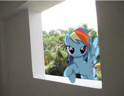 Size: 2936x2272 | Tagged: safe, artist:riniginianna, rainbow dash, g4, dashie love you, high res, irl, looking at you, photo, ponies in real life, solo, vector, window