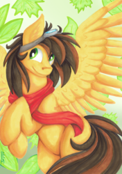Size: 2760x3915 | Tagged: safe, artist:hilis, oc, oc only, oc:october, pegasus, pony, clothes, flying, goggles, high res, leaves, male, marker drawing, pegasus oc, scarf, smiling, solo, stallion, traditional art, wings