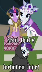 Size: 526x899 | Tagged: safe, edit, edited screencap, screencap, clover the clever, princess platinum, rarity, twilight sparkle, g4, hearth's warming eve (episode), too many pinkie pies, caption, cloak, clothes, crown, forbidden love, hilarious in hindsight, hug, image macro, jewelry, meme, regalia, robe, smiling