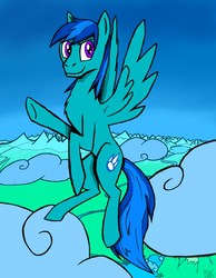 Size: 920x1188 | Tagged: safe, artist:whitewolf2010, oc, oc only, oc:comet storm, pegasus, pony, flying, neighagra falls, solo