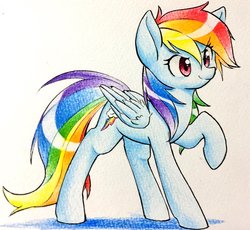 Size: 1876x1724 | Tagged: dead source, safe, artist:yukimaki, rainbow dash, pegasus, pony, g4, female, folded wings, mare, raised hoof, simple background, solo, traditional art, watercolor painting, white background, wings