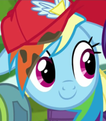 Size: 314x359 | Tagged: safe, screencap, rainbow dash, pegasus, pony, g4, the cart before the ponies, cropped, cute, dashabetes, female, floppy ears, mare, solo focus