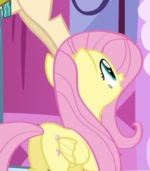 Size: 361x412 | Tagged: safe, screencap, fluttershy, pony, g4, what about discord?, butt, cropped, female, mare, plot